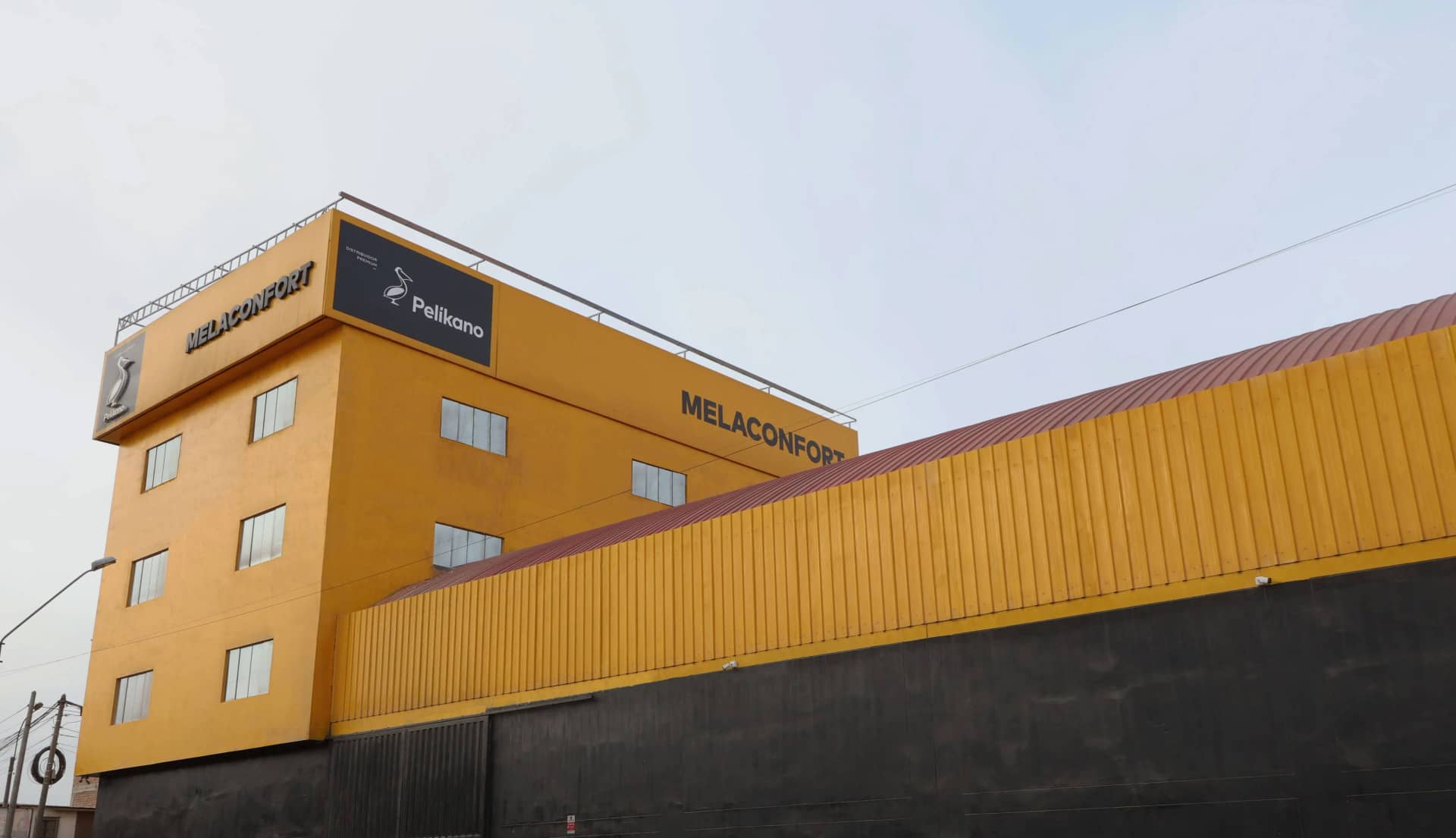 Nueva Colección 2026 disponible